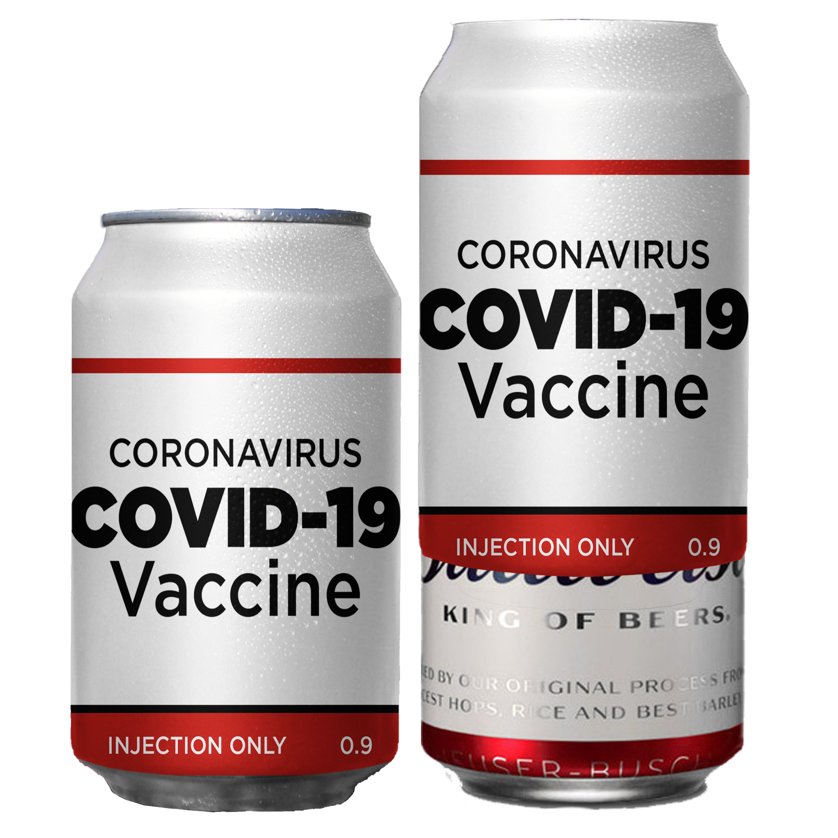 Beersy 12 Pack Variety (Liberal Tears & Covid-19 Vaccine)